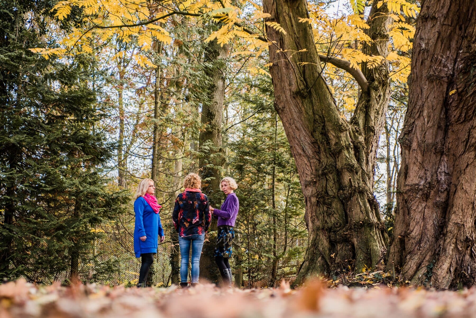 Drie mensen in gesprek op een bospad tussen hoge bomen in de herfst