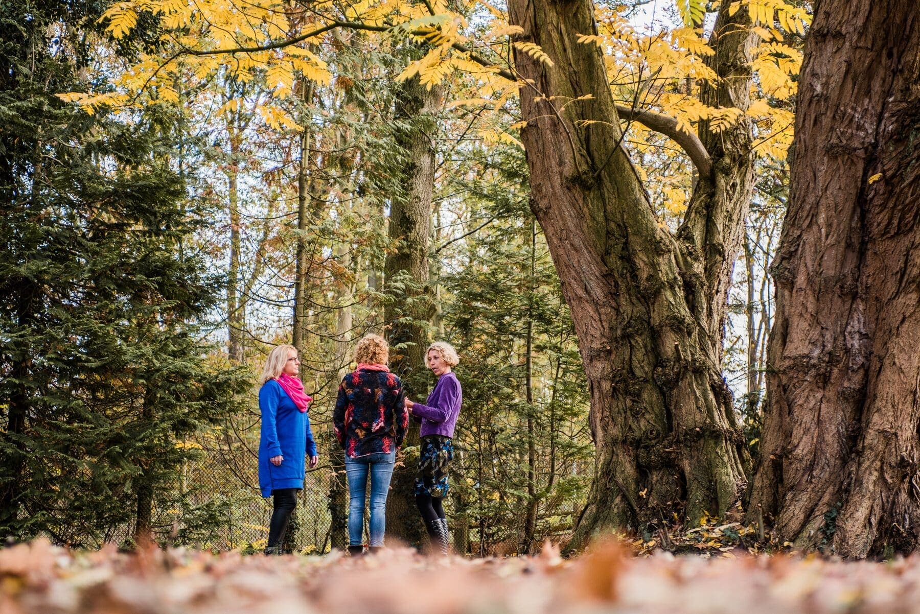 Drie mensen in gesprek op een bospad tussen hoge bomen in de herfst